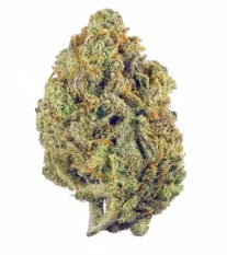 Nura | Lilac Diesel | Big Buds by Nura