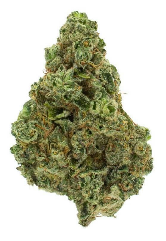 Nura | Detroit Muscle | Big Buds at GRAMZ Cannabis Outlet Store - Three Rivers