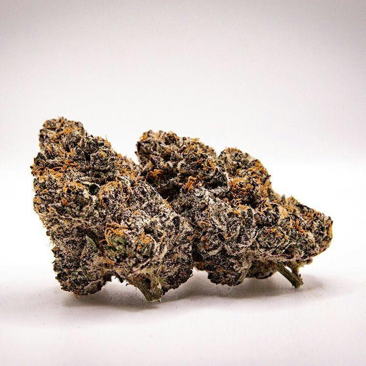 Nura | Black Cherry Gelato | Big Buds at GRAMZ Cannabis Outlet Store - Three Rivers