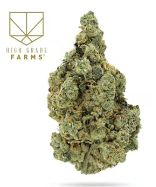 High Grade Farms: Glitter Bomb