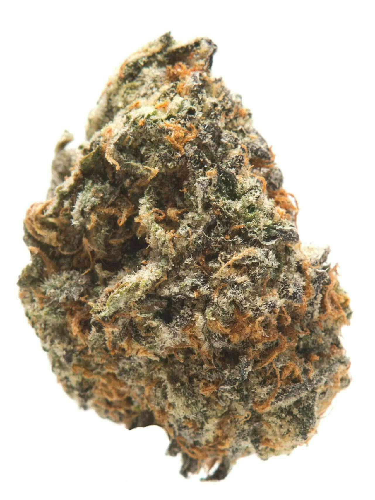 Nura | Blueberry Cruffin | Big Buds by Nura