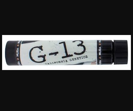 G-13 | Joint | 1g
