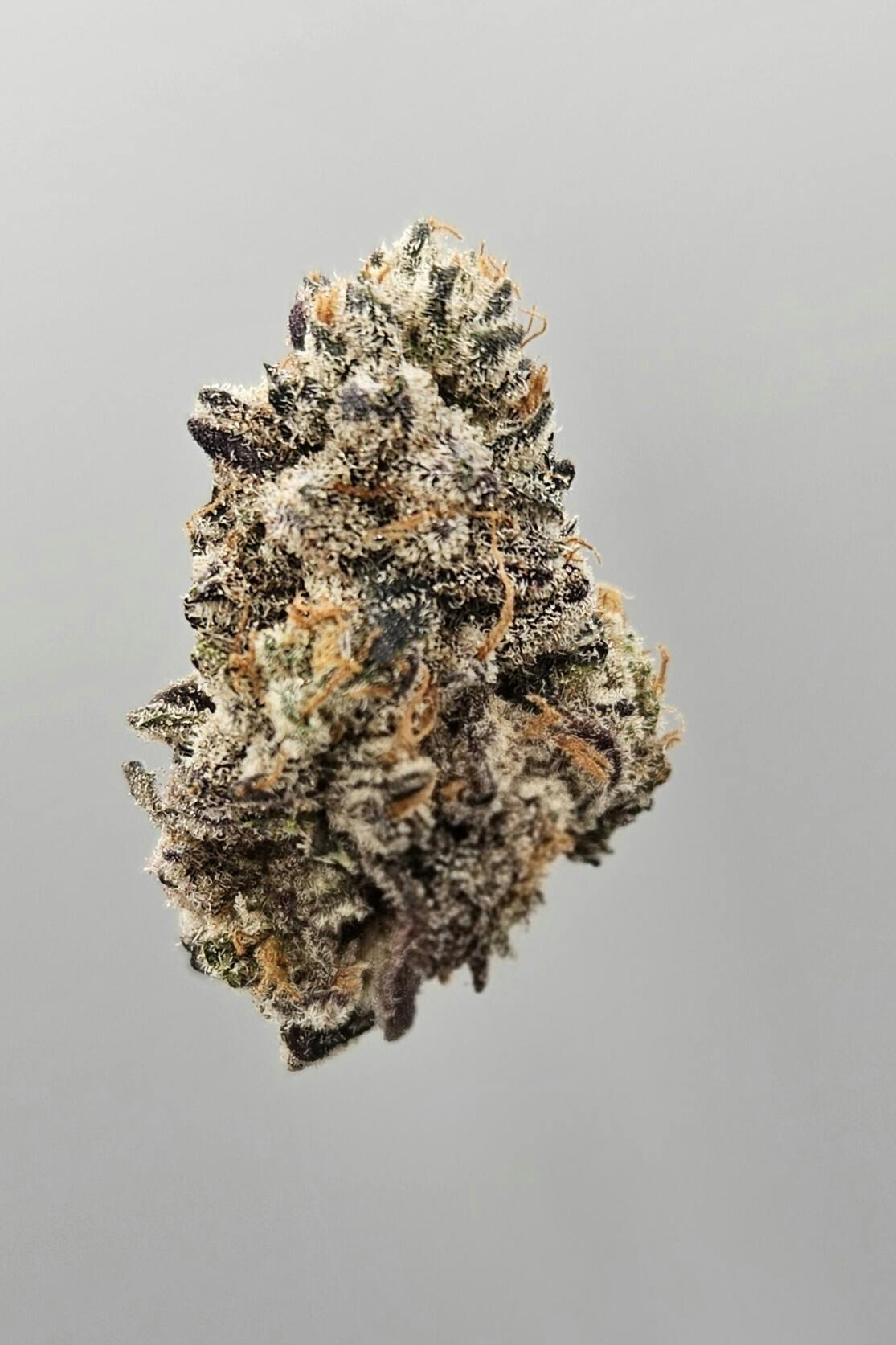 Flower - Tier 1 - Apple Tartz by Ripple Wellness