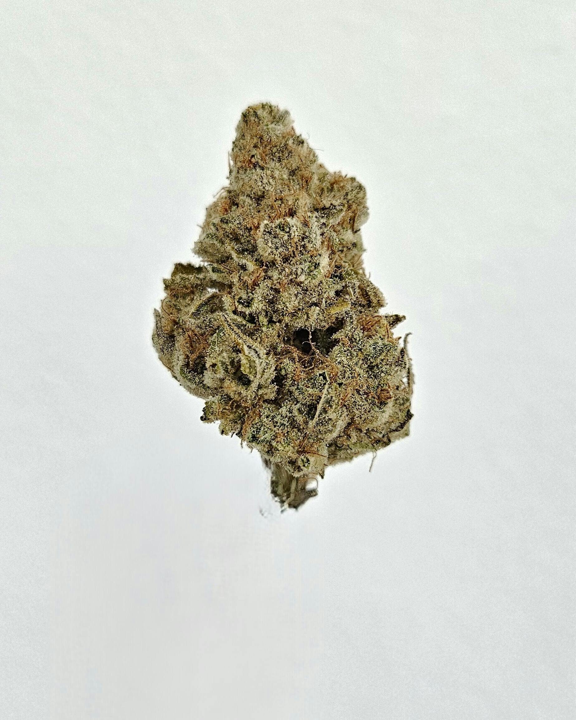 Flower - Tier 2 - Strawnana by Ripple Wellness