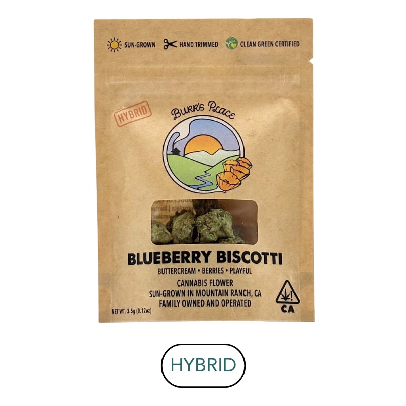 Burr's Place — Blueberry Biscotti
