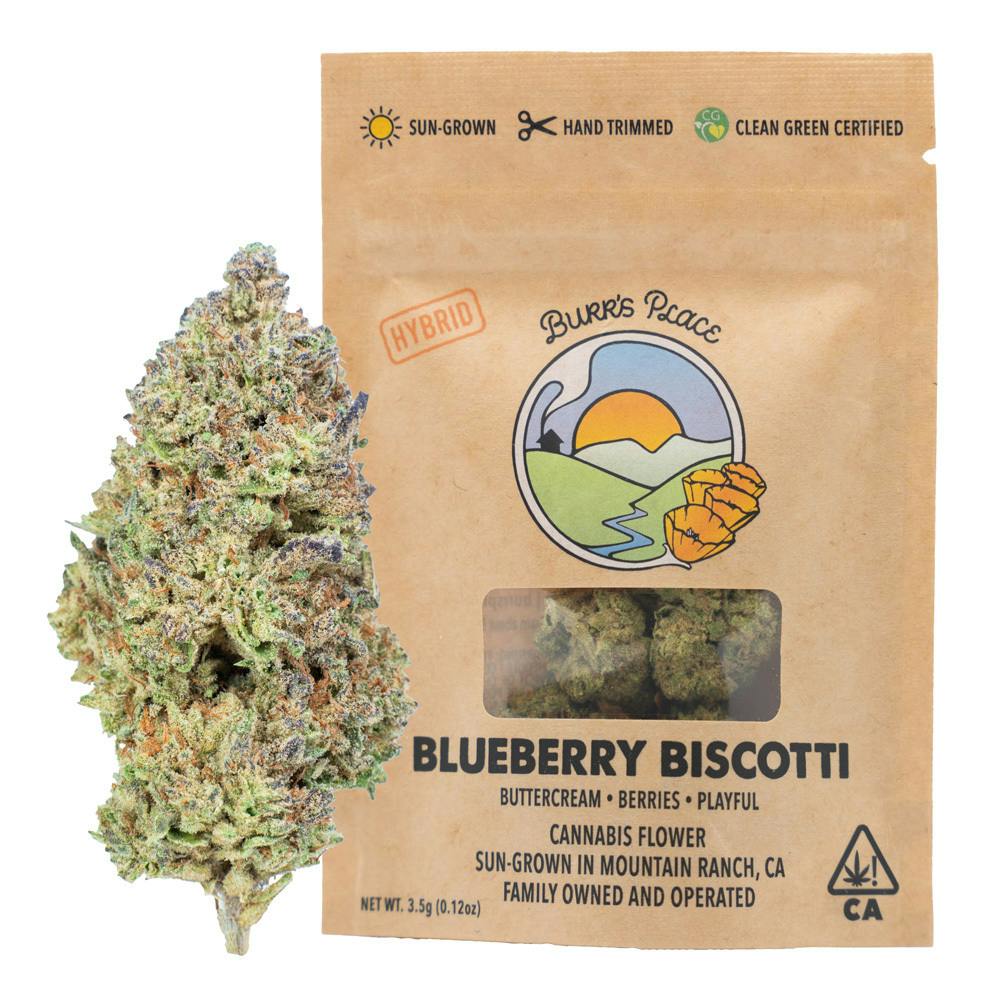 Burr's Place: Blueberry Biscotti