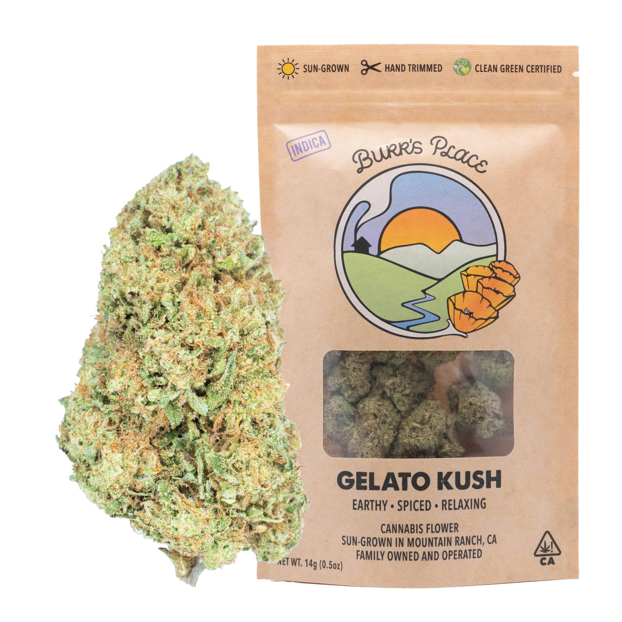 Burr's Place: Gelato Kush