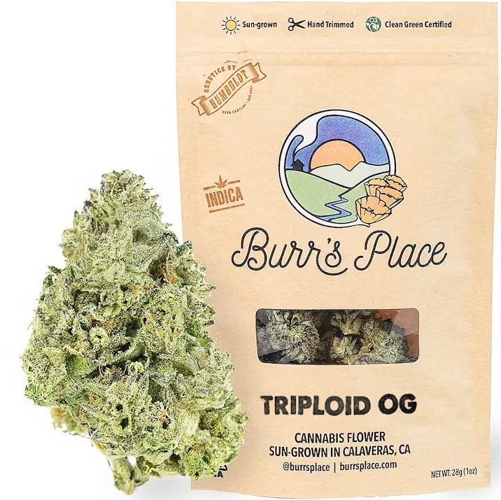 Burr's Place — Og Triploid