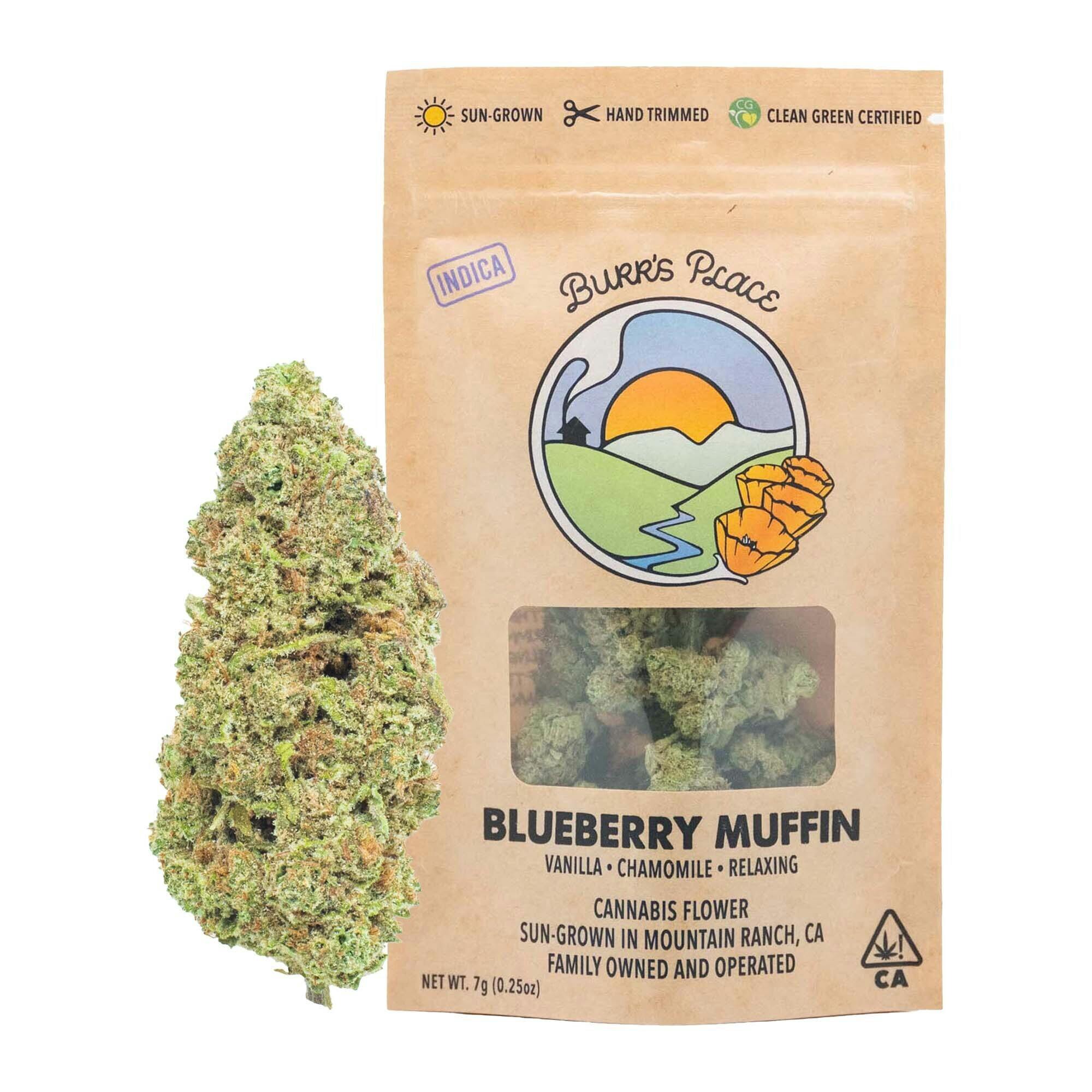 Burr's Place: Blueberry Muffin