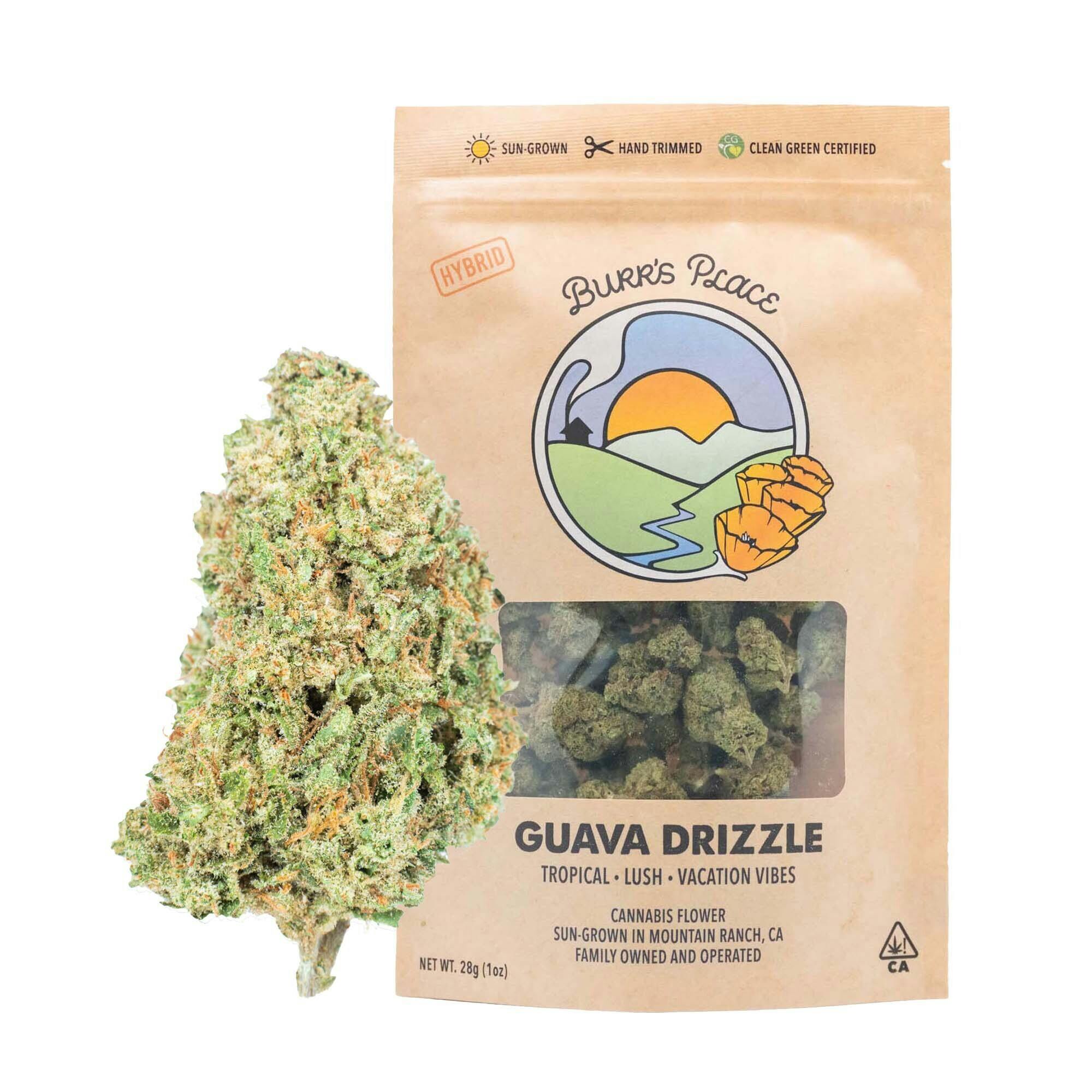Burr's Place: Guava Drizzle