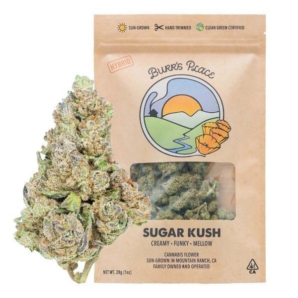 Burr's Place: Sugar Kush - Big Buds - 28g
