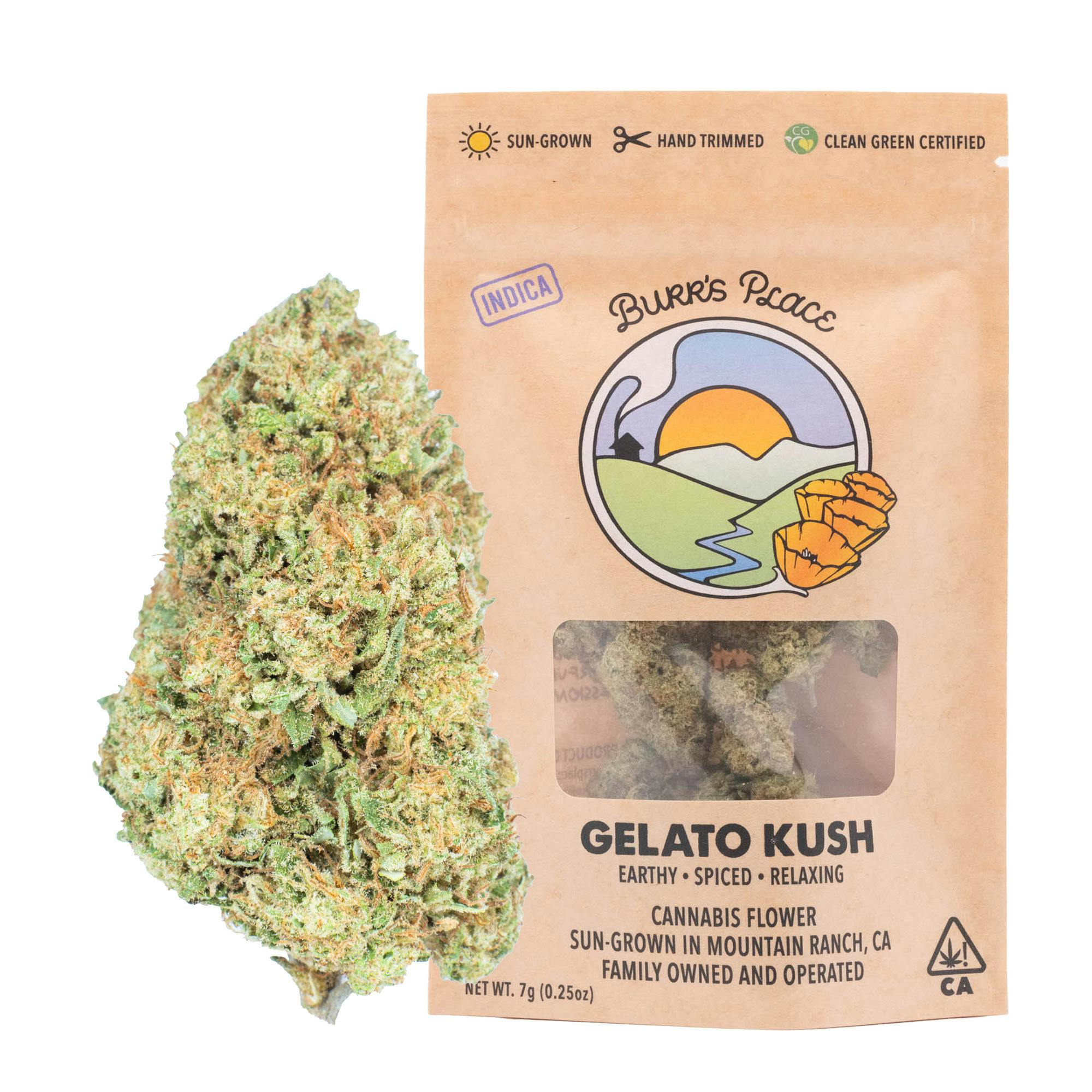 Burr's Place: Gelato Kush