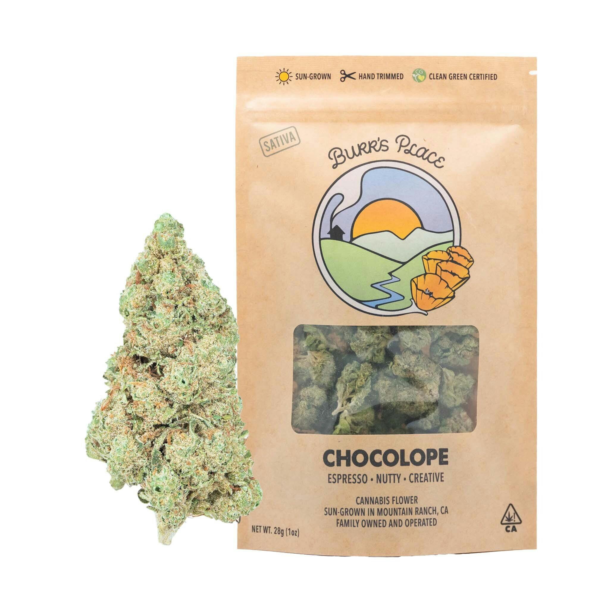 Burr's Place: Chocolope - Big Buds - 28g