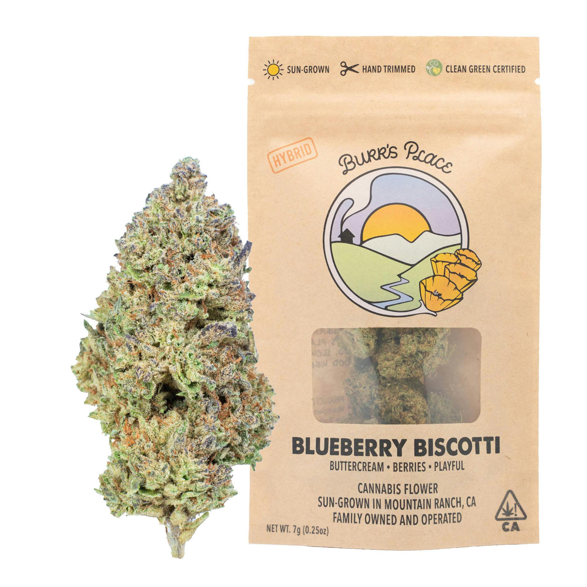 Burr's Place: Blueberry Biscotti