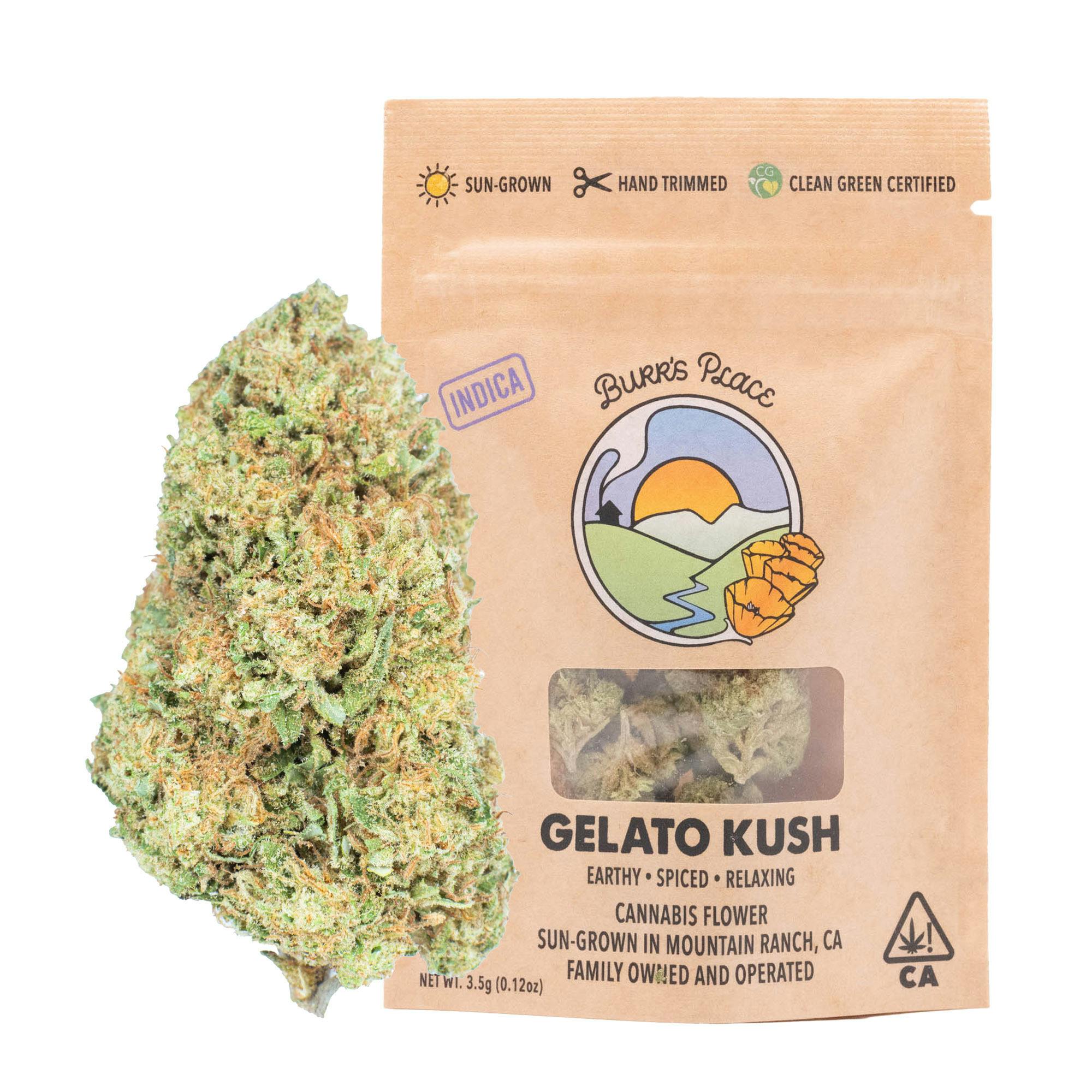 Burr's Place: Gelato Kush