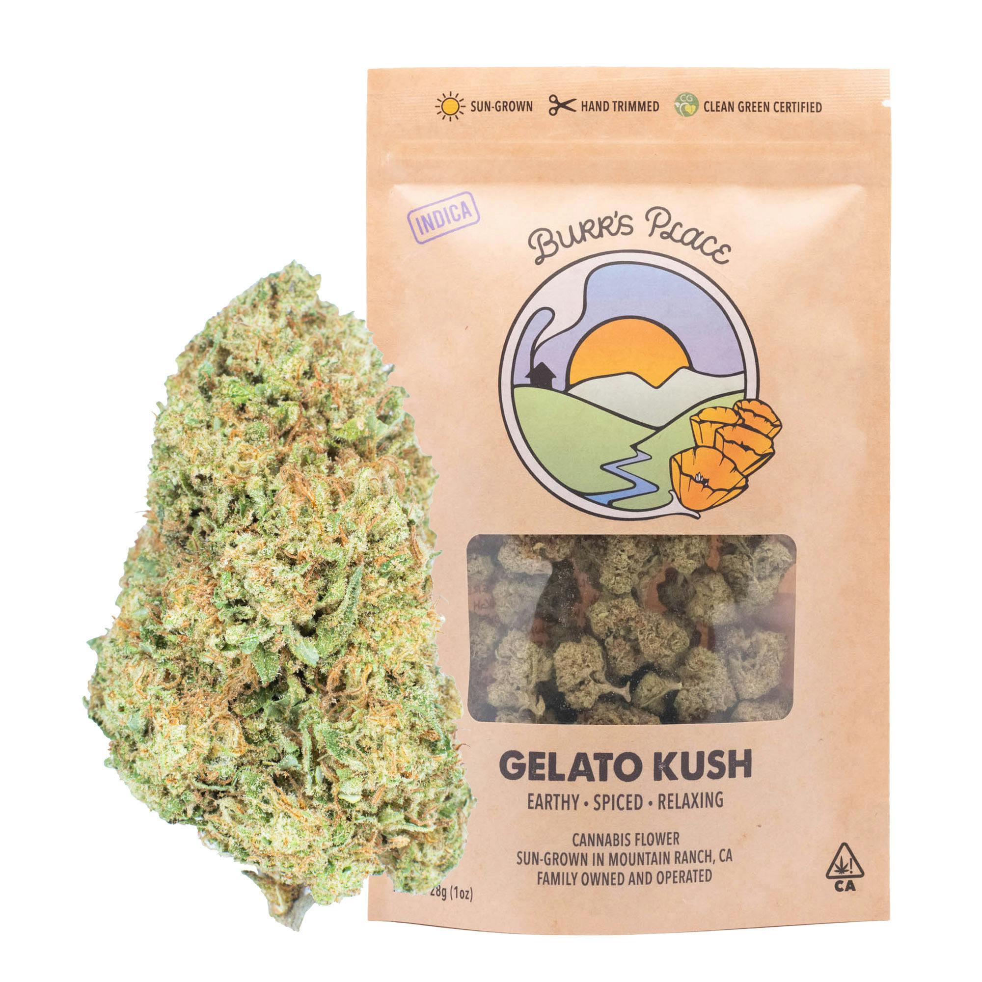 Burr's Place: Gelato Kush