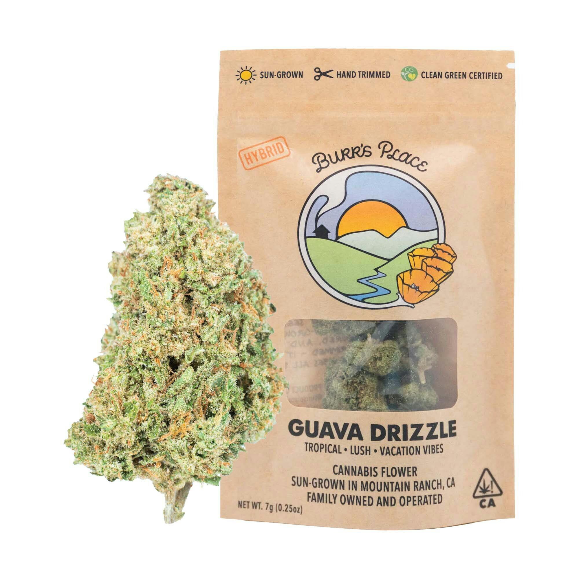 Burr's Place: Guava Drizzle