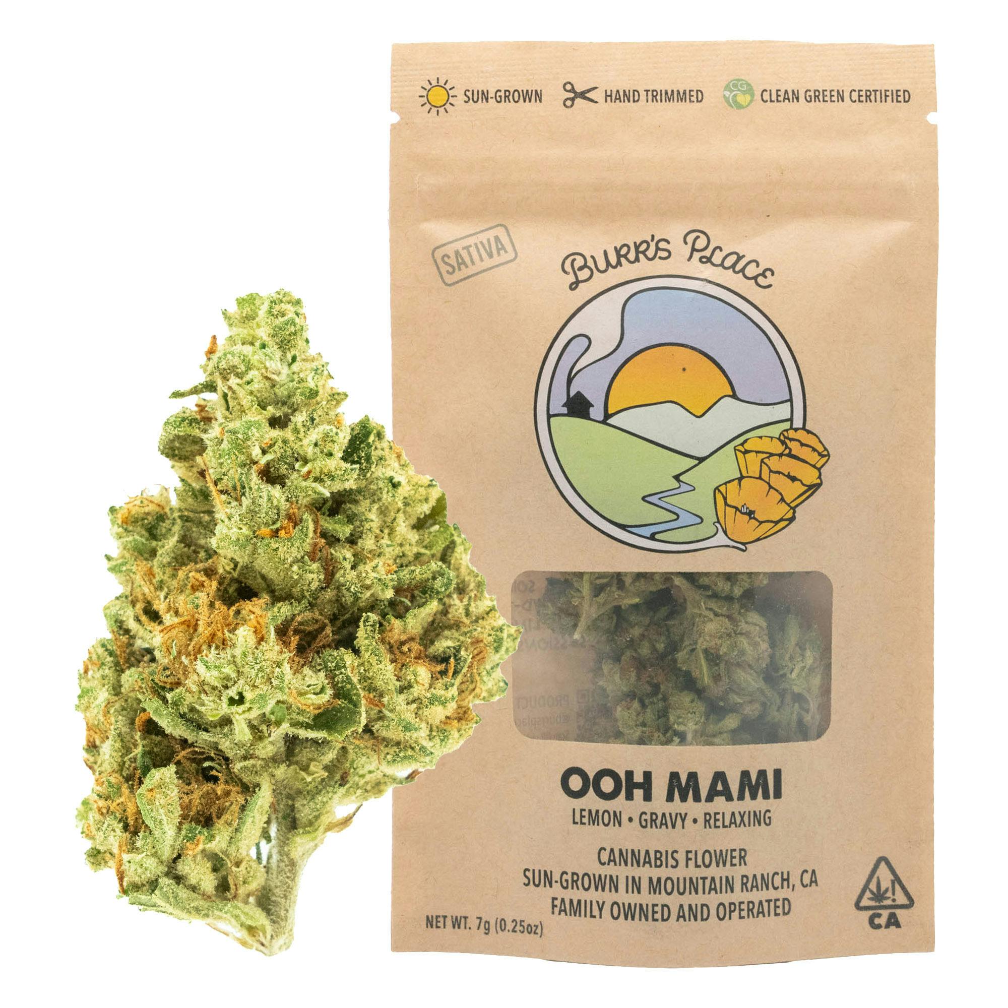 Burr's Place: Ooh Mami