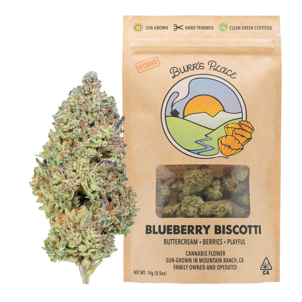 Burr's Place: Blueberry Biscotti