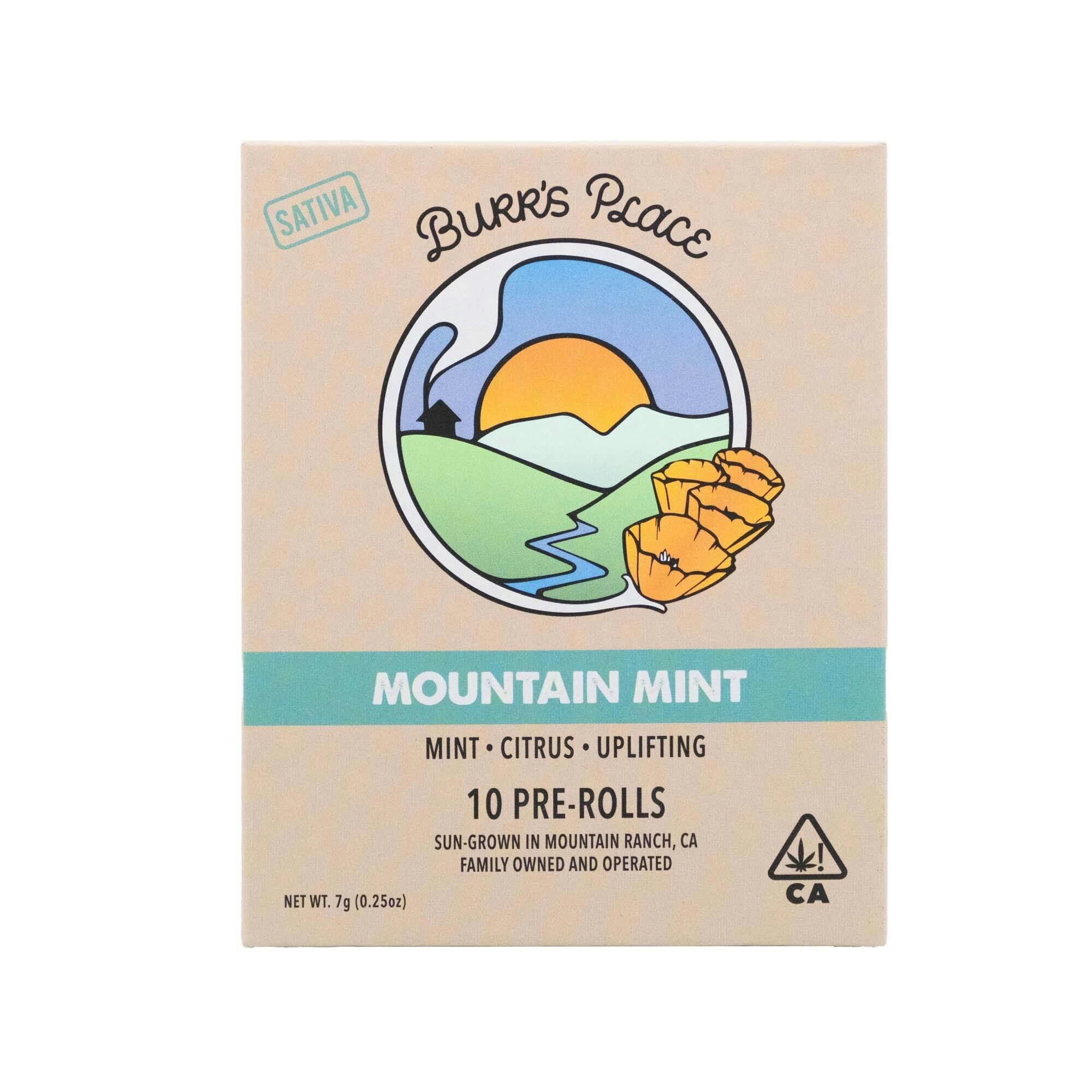 Mountain Mint | Joints | 0.7g each | 10pk by Burr's Place