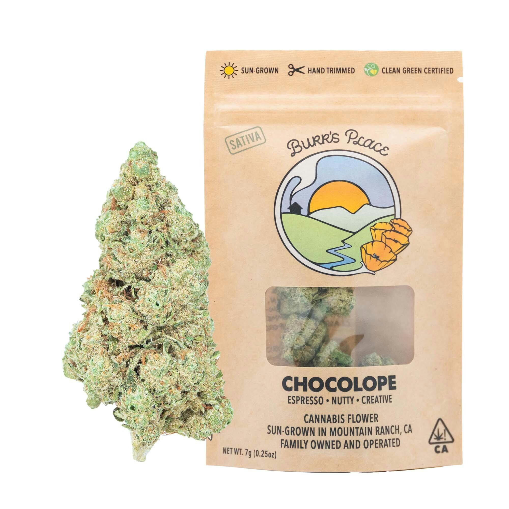 Burr's Place: Chocolope - Big Buds - 7g