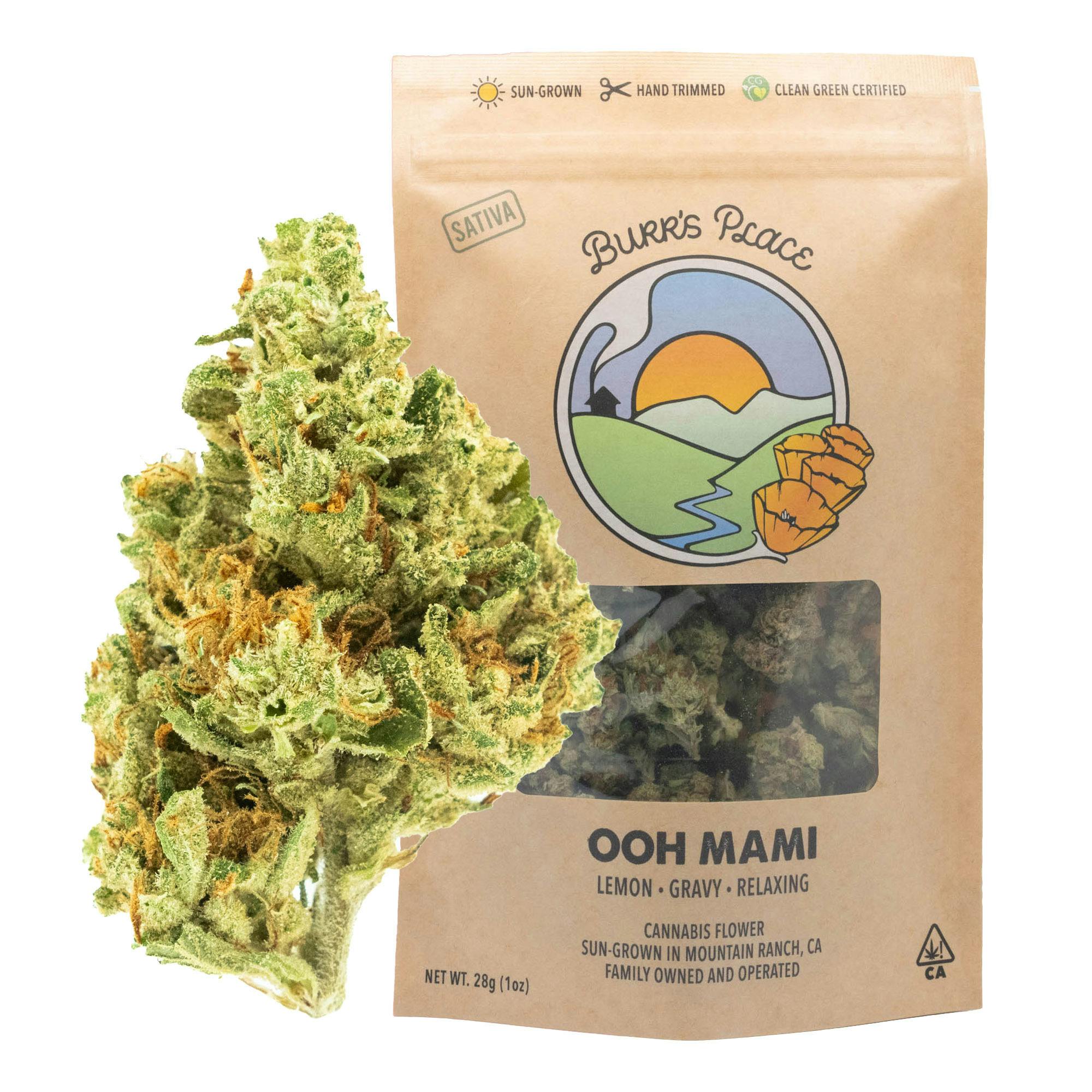 Burr's Place: Ooh Mami