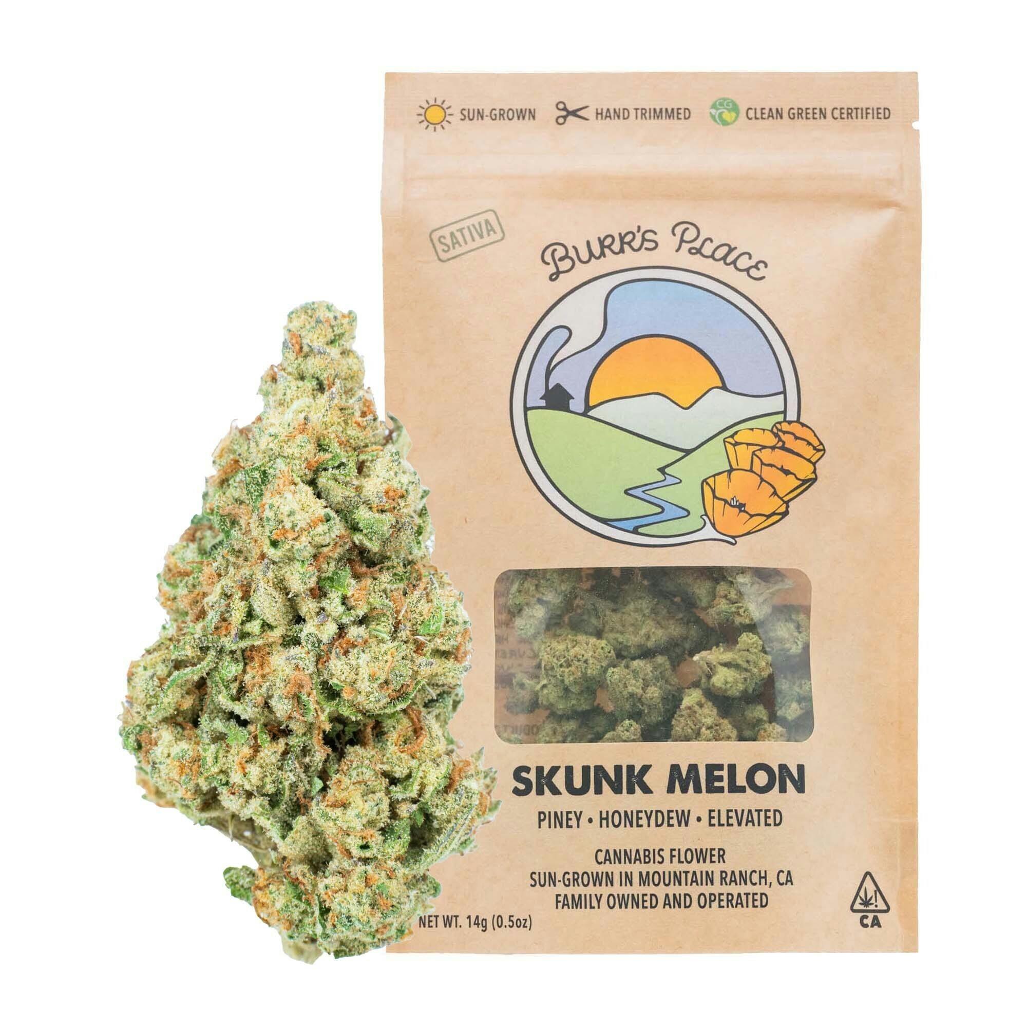 Burr's Place: Skunk Melon