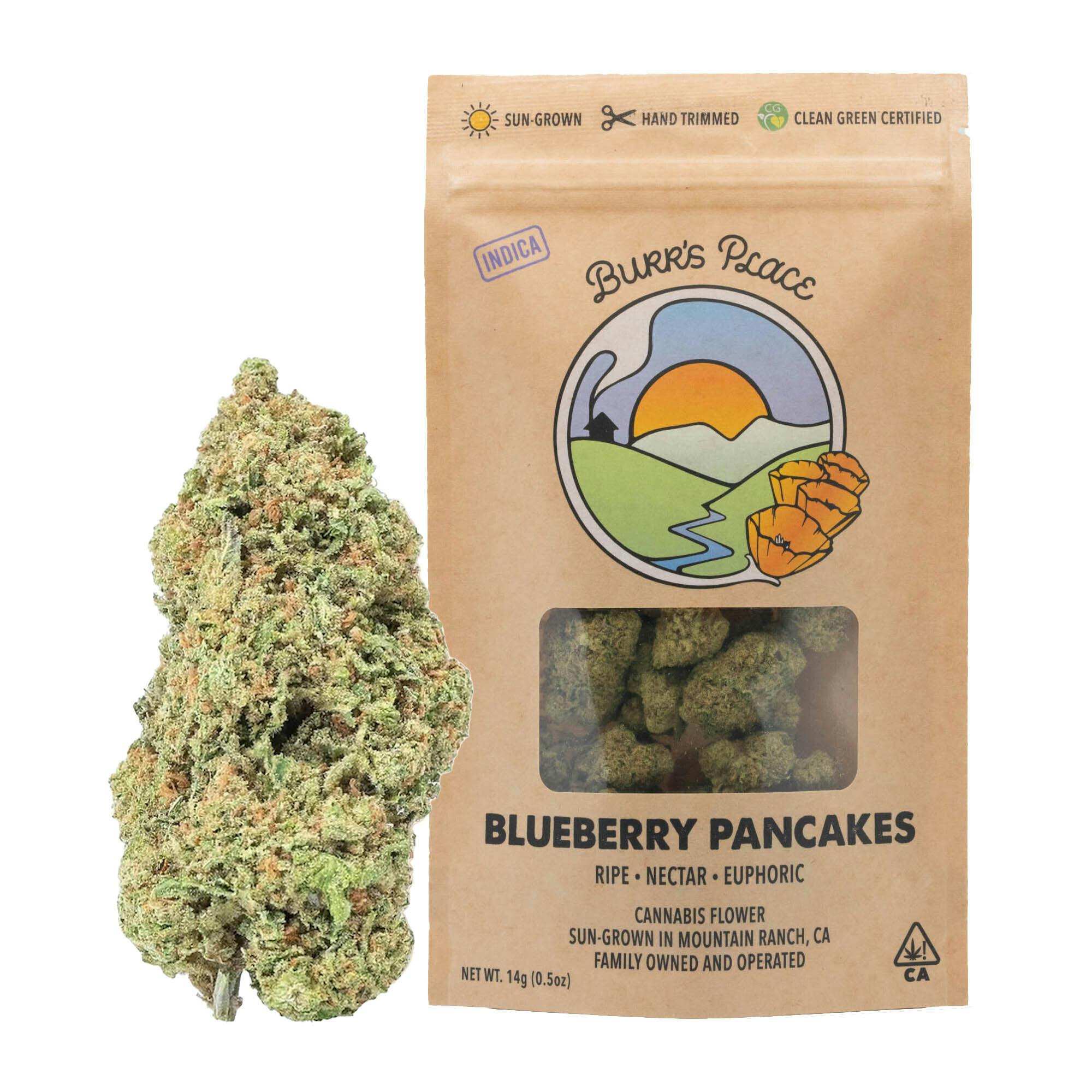 Burr's Place: Blueberry Pancakes