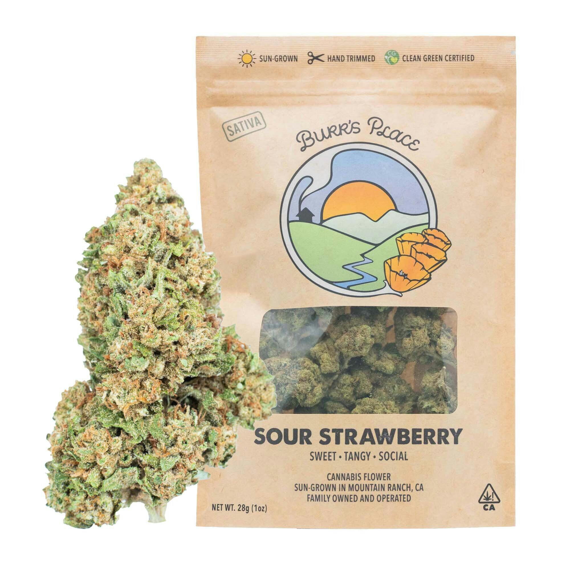 Sour Strawberry | Big Buds | 28g