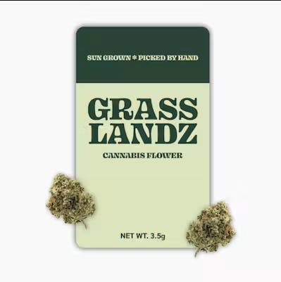 Grasslandz | Blue Dream | Big Buds | 3.5g by Grasslandz
