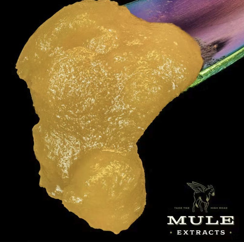 Mule Extracts: Fuji Apple Jelly
