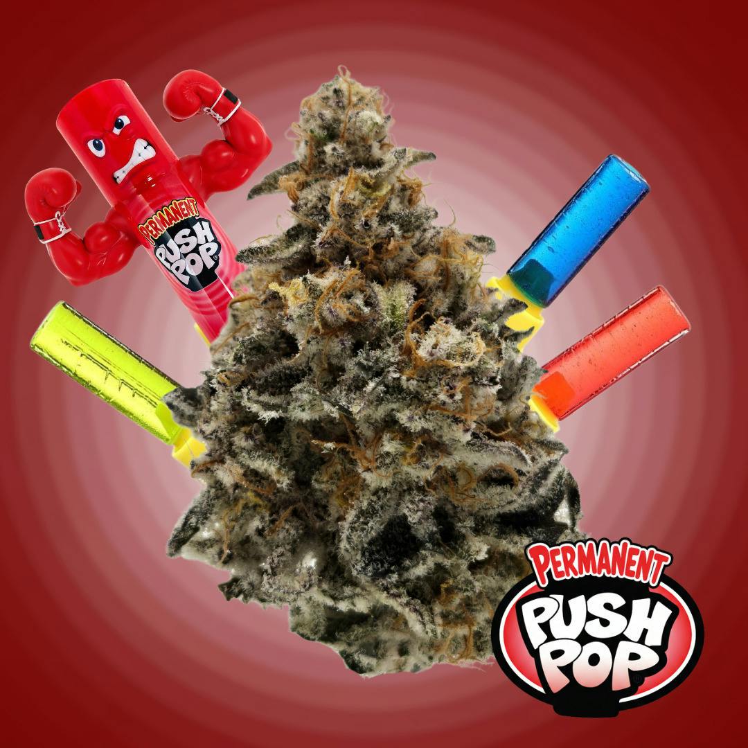 Permanent Push Pop | Big Buds | 3.5g at EarthMed Recreational Marijuana Dispensary - McHenry