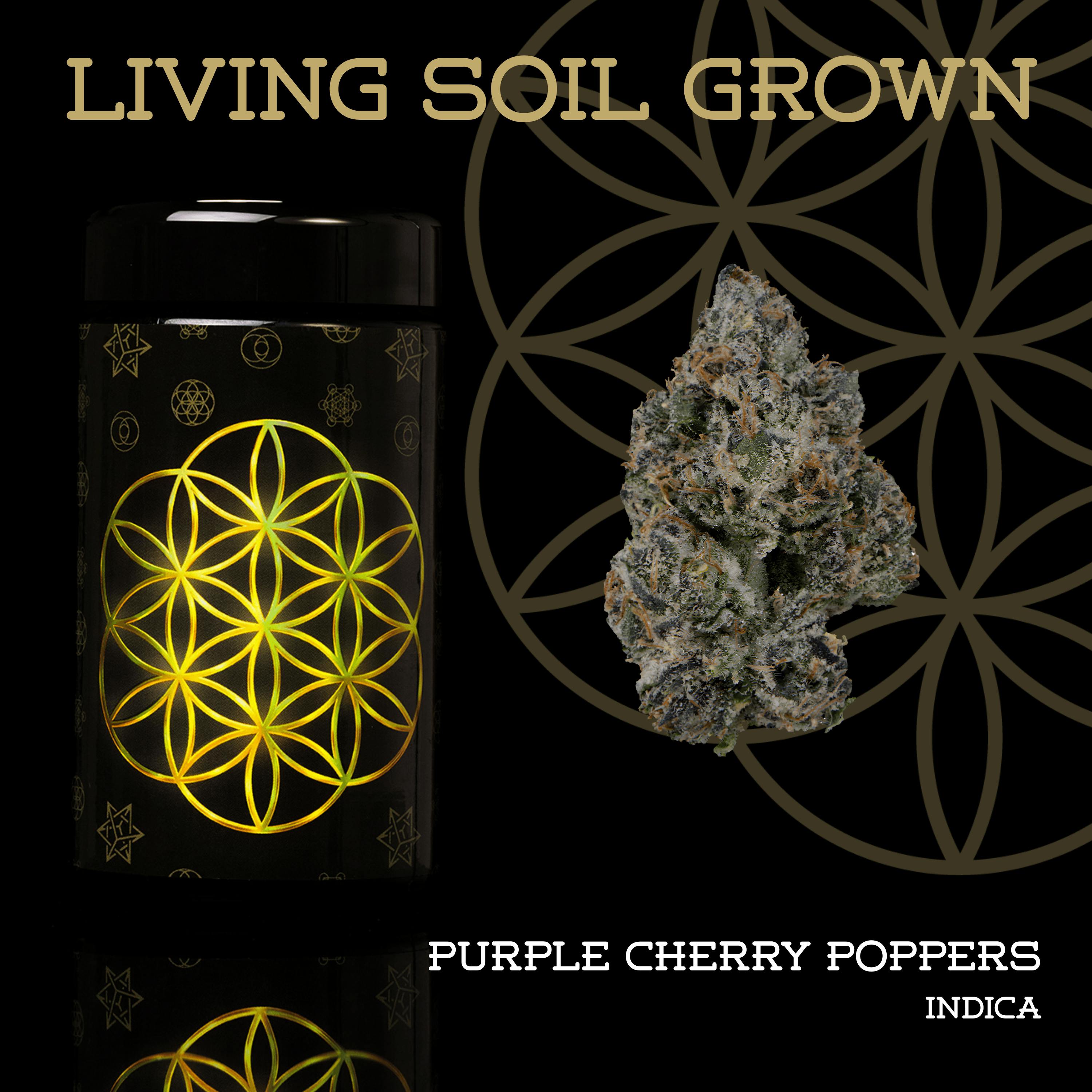Purple Cherry Poppers | Buds