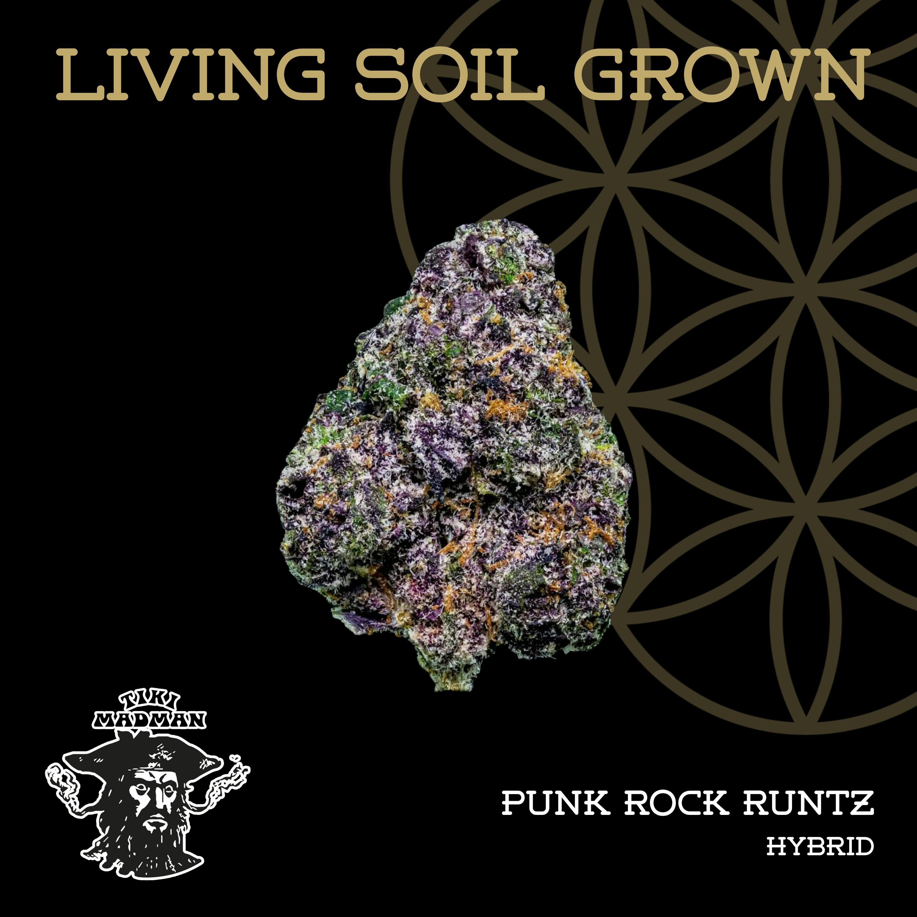 Punk Rock Runtz | Bulk Deli | Living Soil by Flower of Life