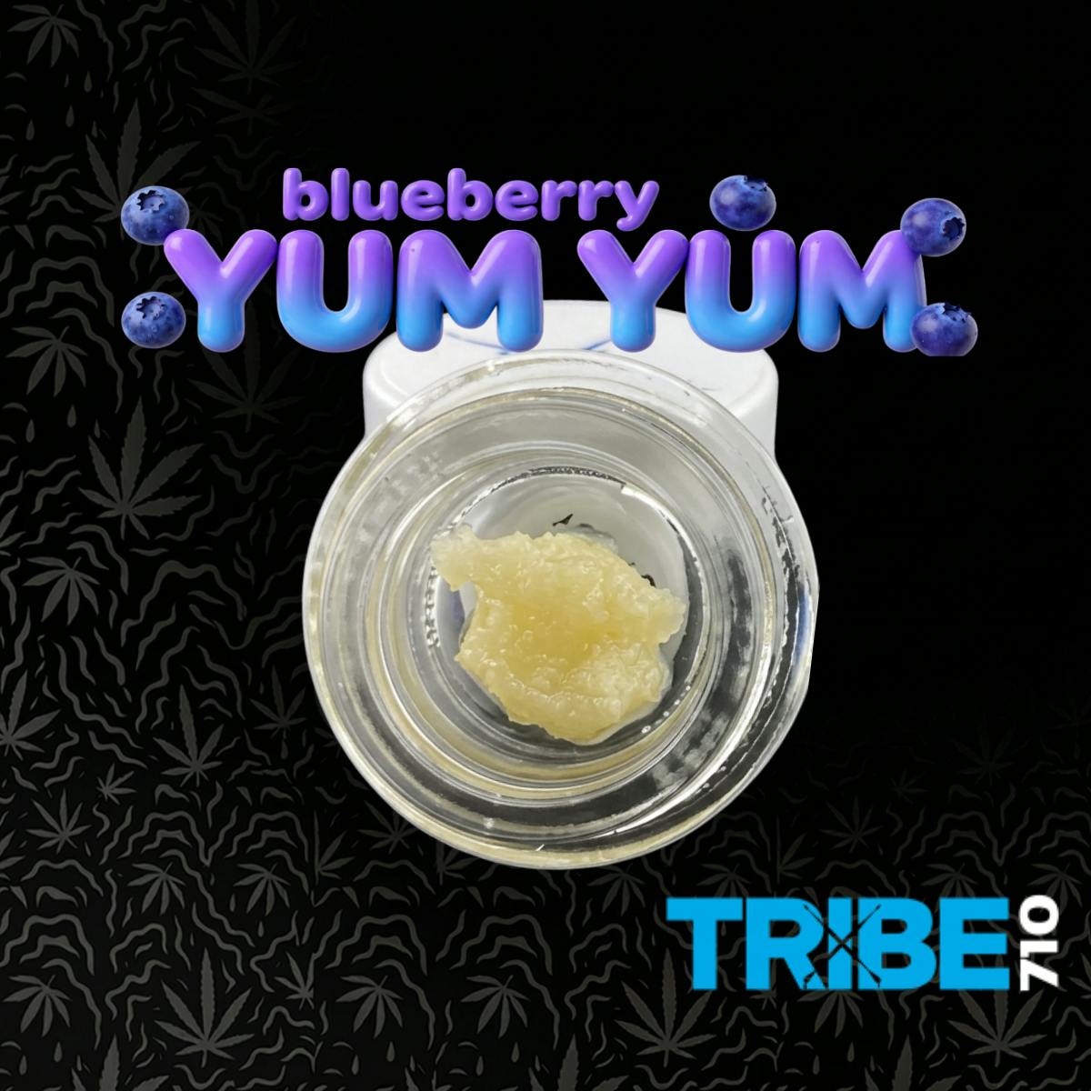 Tribe 710: Blueberry Yum Yum
