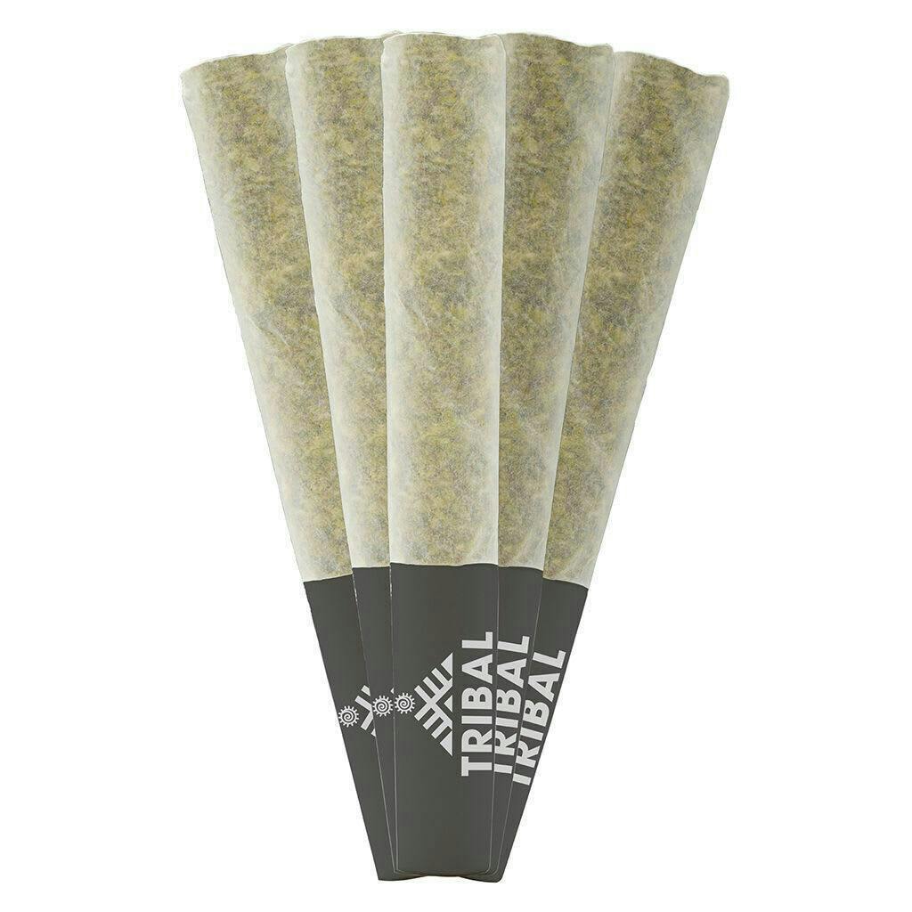 Tribal | Bubble Up | Mini Joints | 0.5g each | 5pk