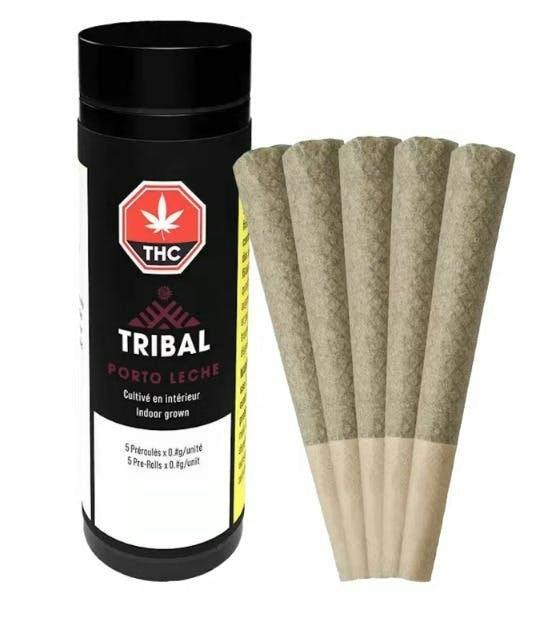 Tribal | Porto Leche | Mini Joints | 0.5g each | 5pk