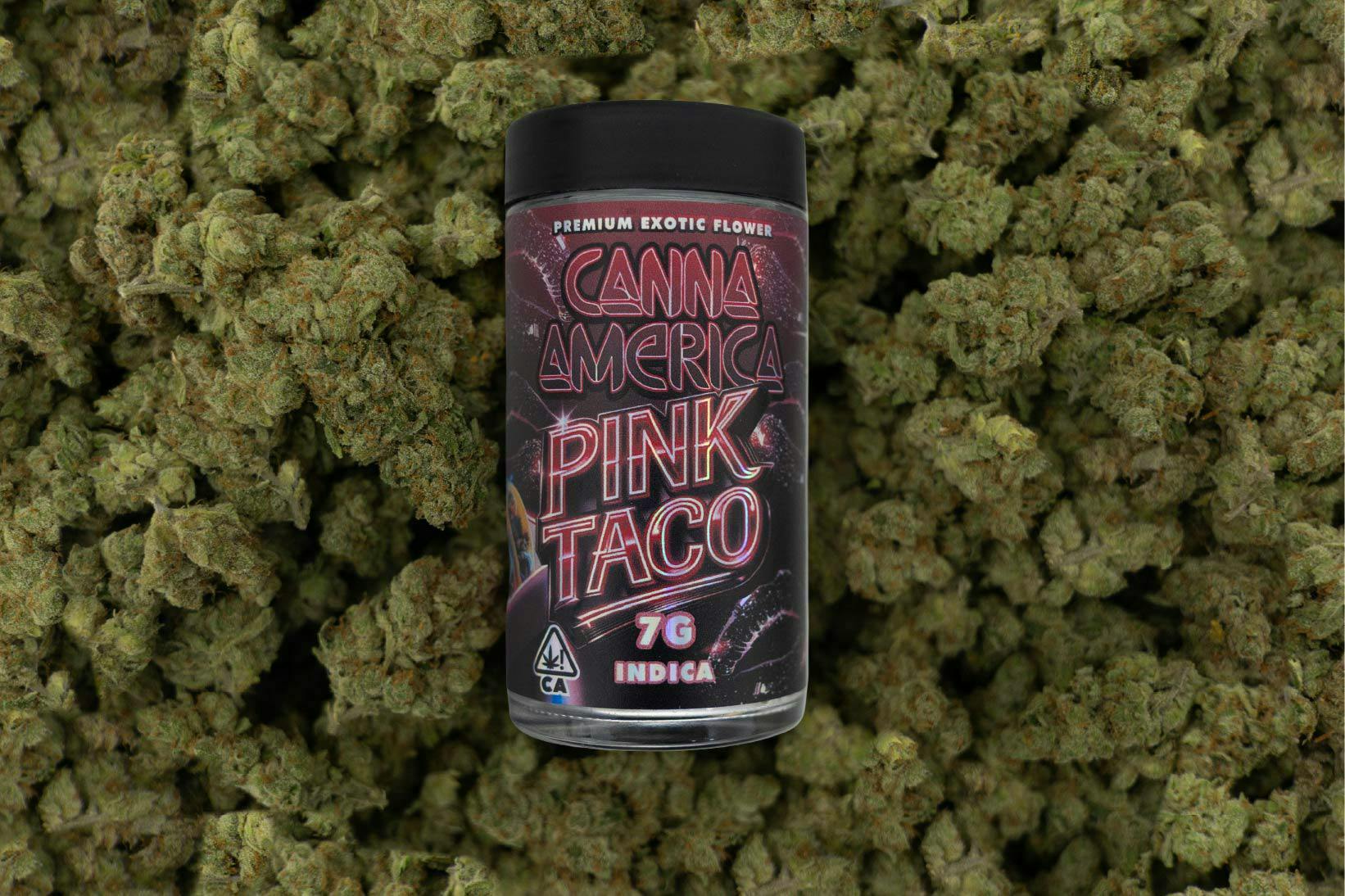 Canna America -: Pink Taco