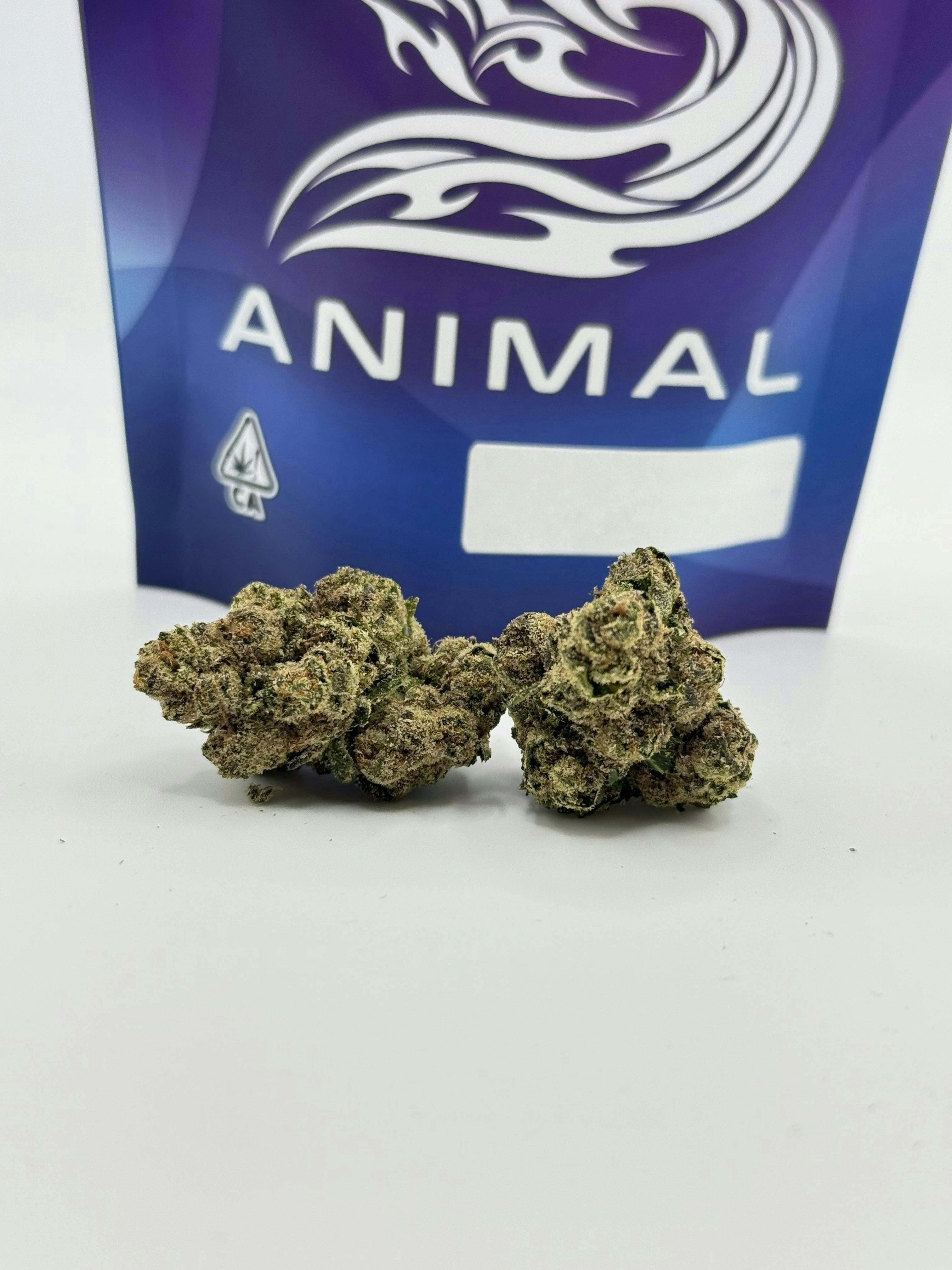 Animal | Frosted Runtz | Big Buds | 3.5g - Animal