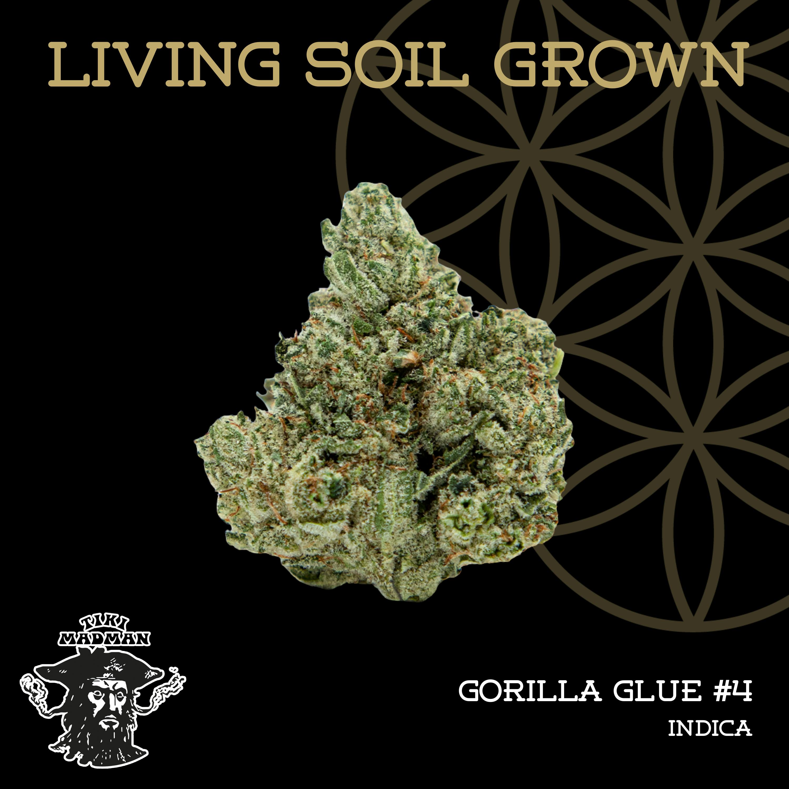Gg4 Deli Living Soil