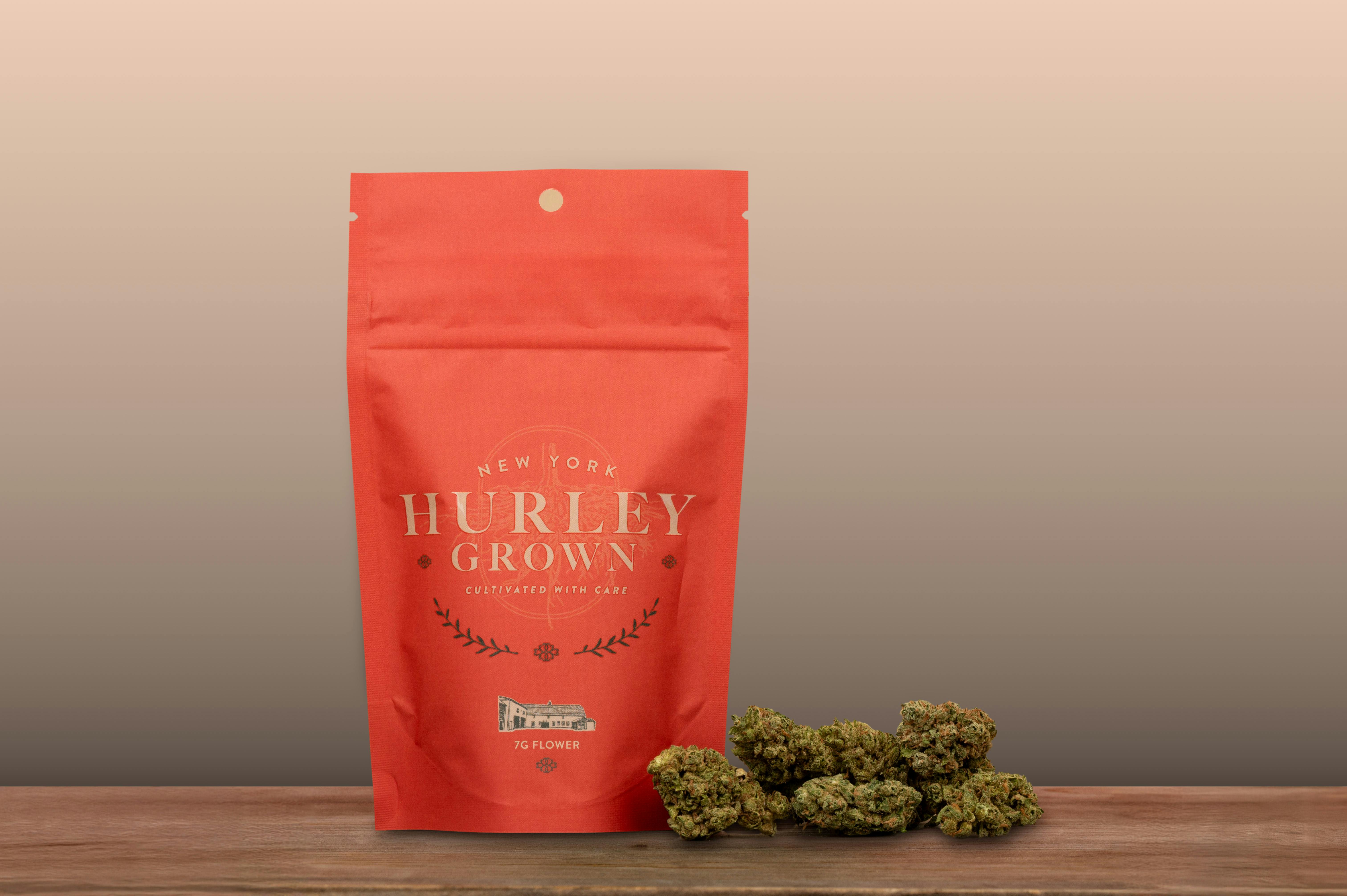 Gruntz - Hybrid - 1/4 oz by Hurley Grown