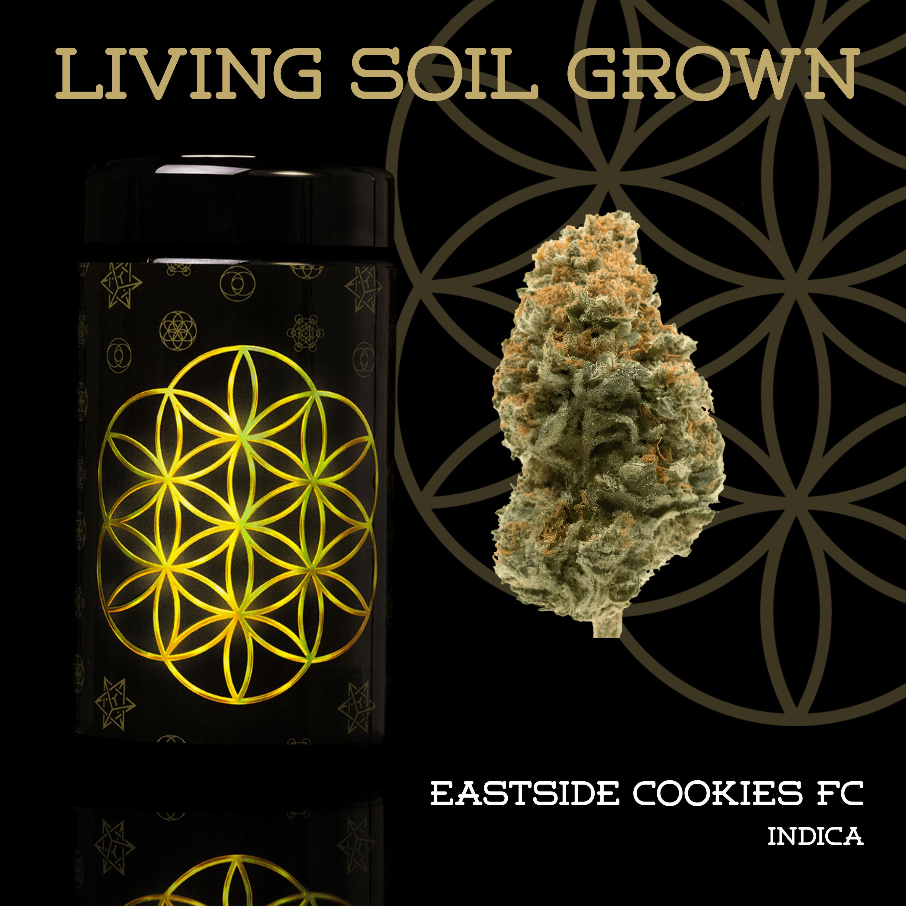 Eastside Cookies FC | Prepack | Miron Jar | Living Soil by Flower of Life