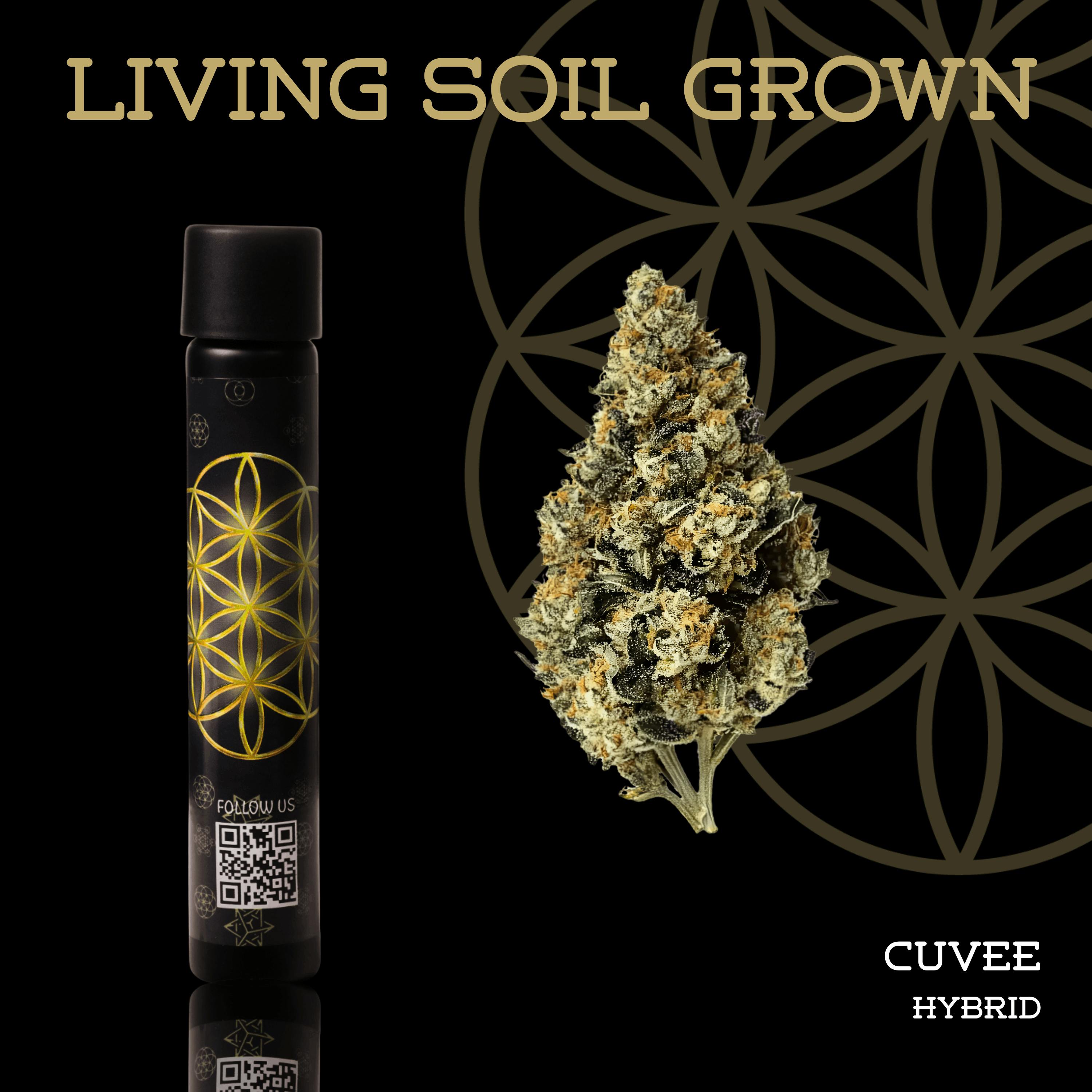 Cuvee | Joint | 1g