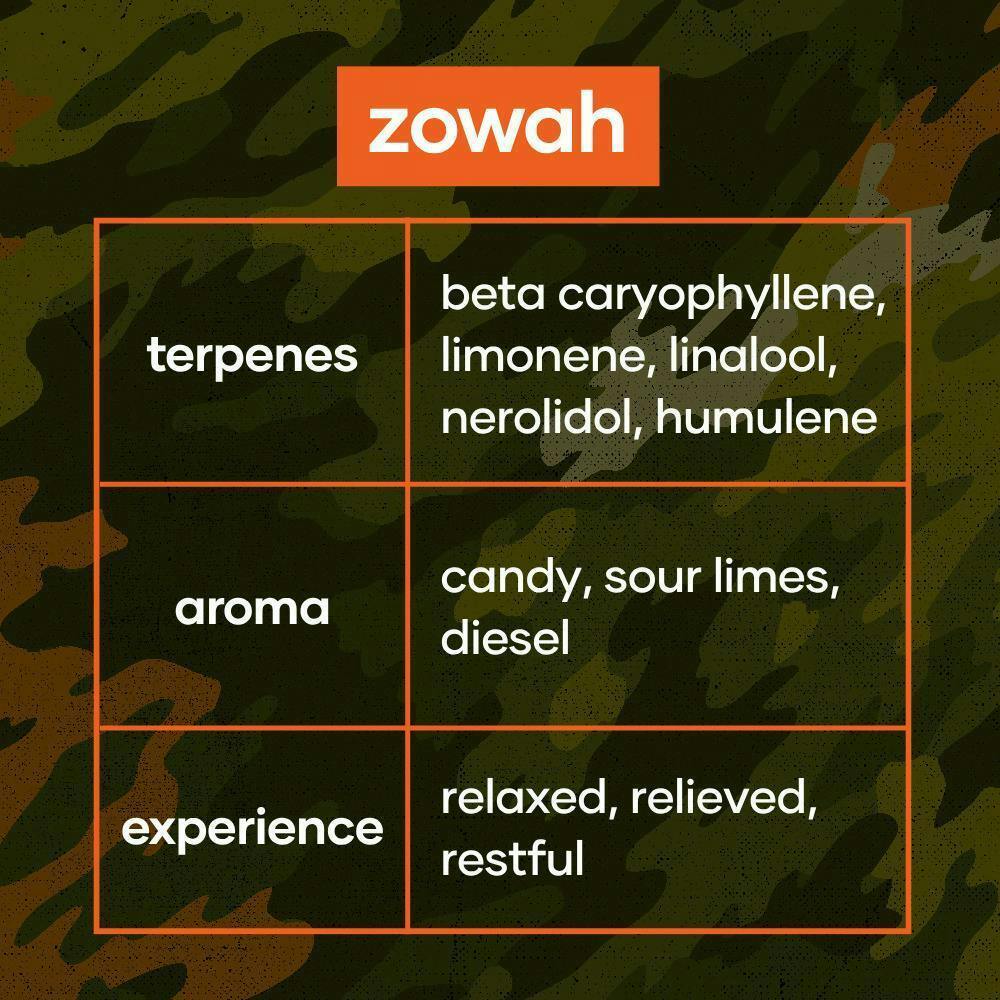 Zowah | Big Buds | 3.5g at Codes Dispensary Osage Beach