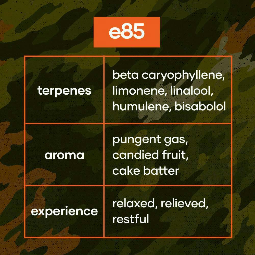 E85 | Big Buds | 3.5g at Codes Dispensary Osage Beach