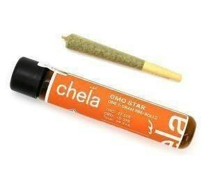 Chela | Black Garlic Gelato | Joint | 1g