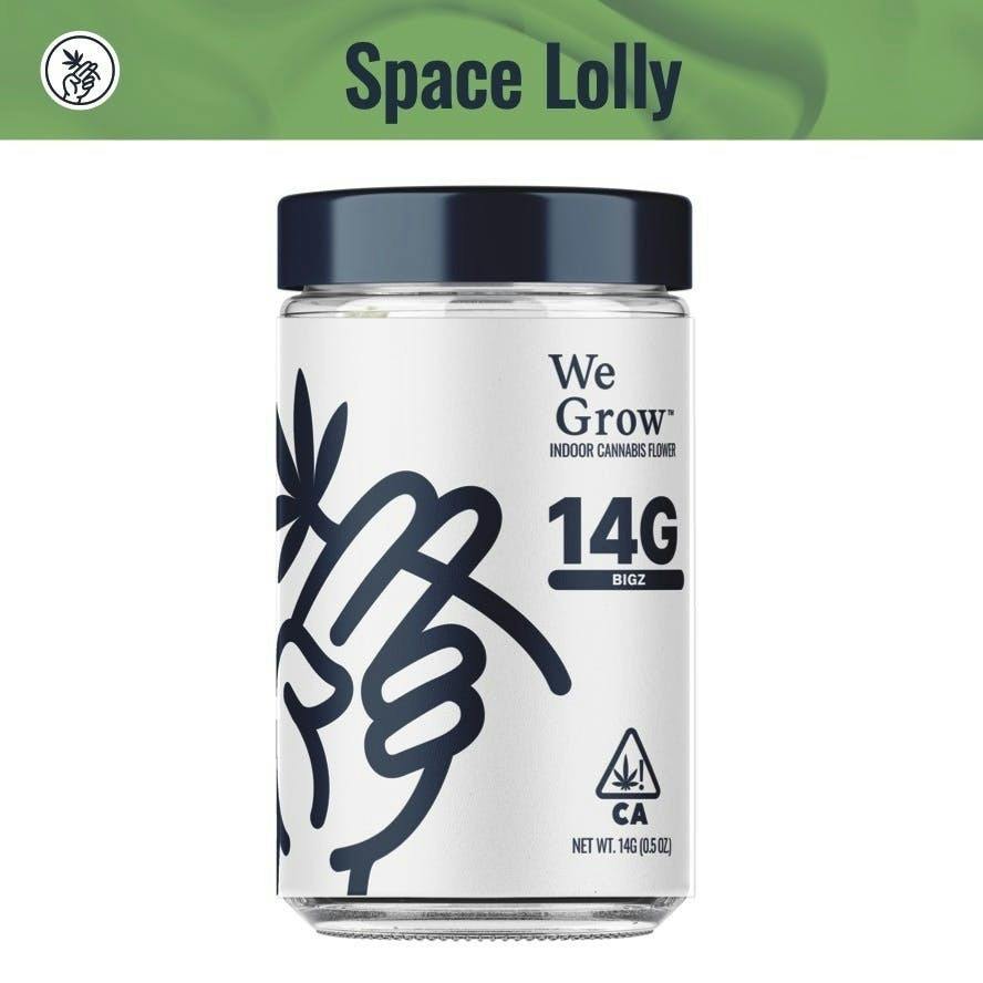 We Grow | Space Lolly | Big Buds | 14g by We Grow