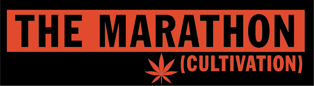 The Marathon Cultivation — Blue Lemonade