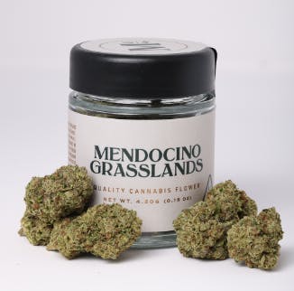 Mendocino Grasslands: Garlic Haze
