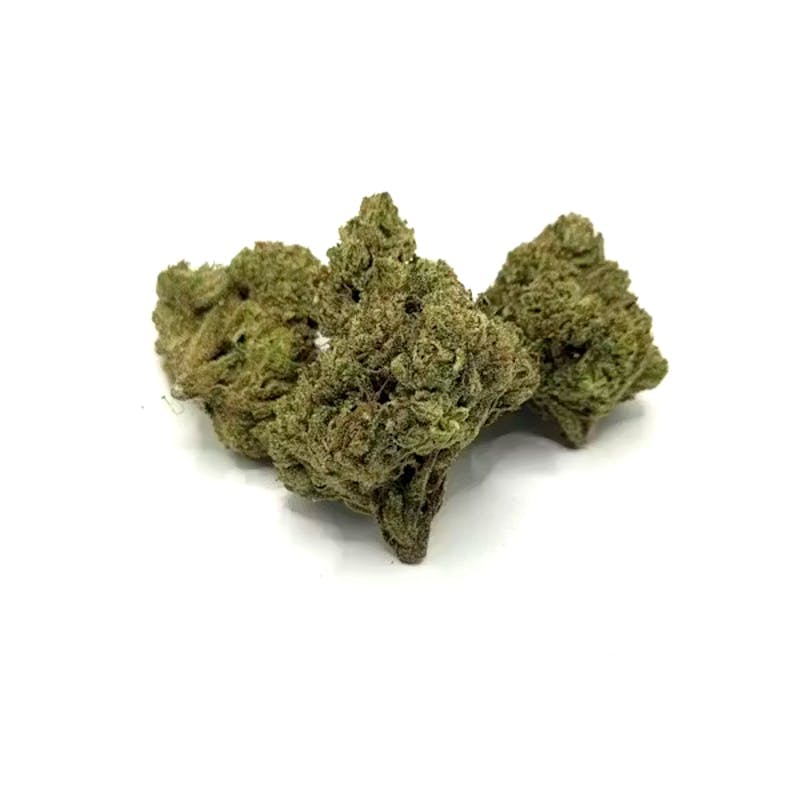 Sonoma Hills Farm: Blue Andes